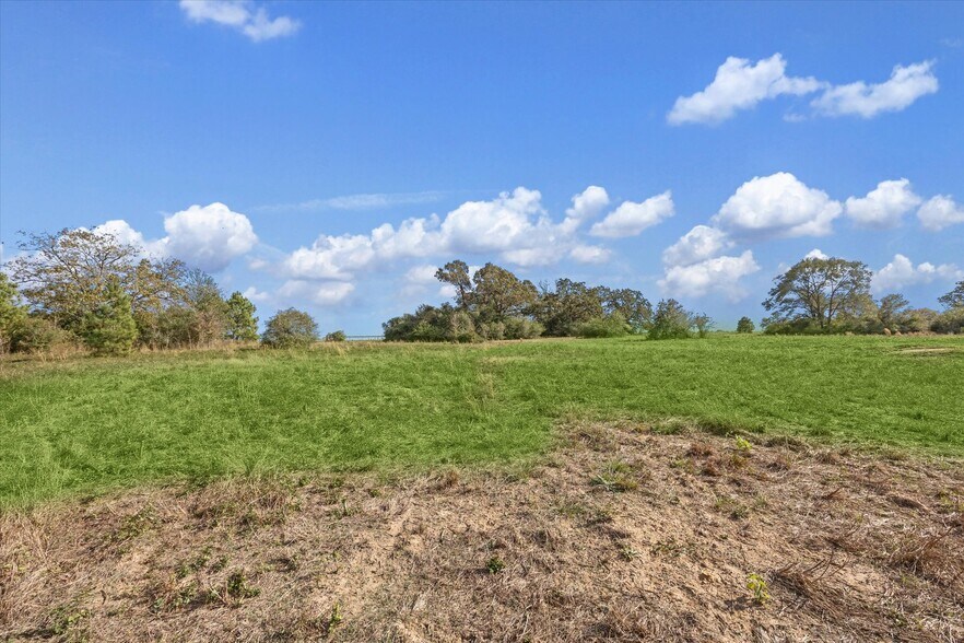 More Photos Of 0 Mack Washington Ln. Ln, Hempstead Land For Sale