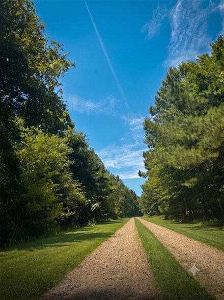 Primary Photo Of N US 259, Broken Bow Land For Sale