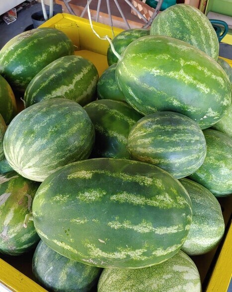 More Photos Of 1327 S Bay St, Eustis Freestanding For Lease