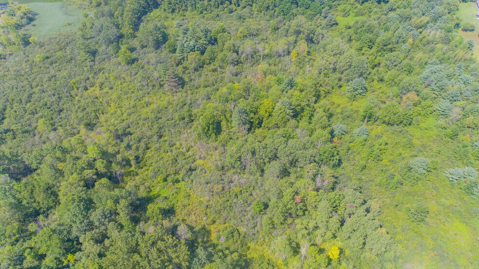 More Photos Of 194 Harrison St, Gloversville Land For Sale