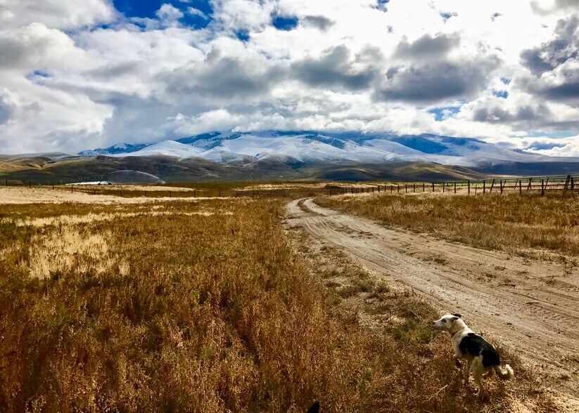 More Photos Of 3750 Pahsimeroi Rd, May Land For Sale