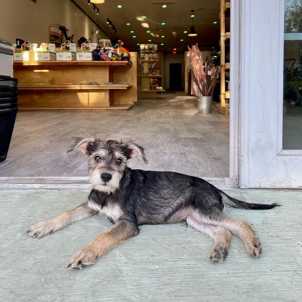 More Photos Of 218-220 S Myrtle Ave, Monrovia Storefront Retail Office For Lease