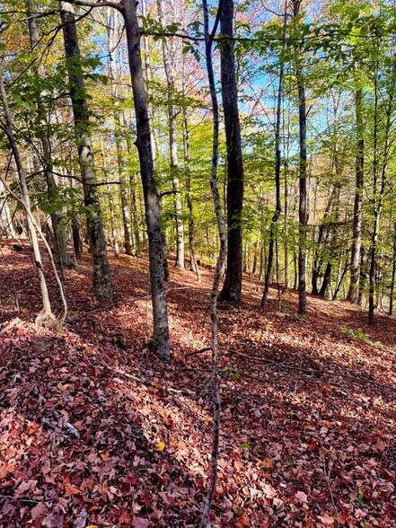 More Photos Of 0 Old Pluto Rd, Shady Spring Land For Sale