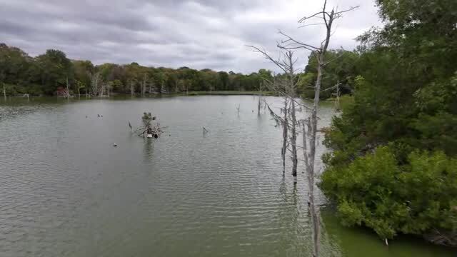 Primary Photo Of 6040 AL-28, Pine Apple Lodge Meeting Hall For Sale