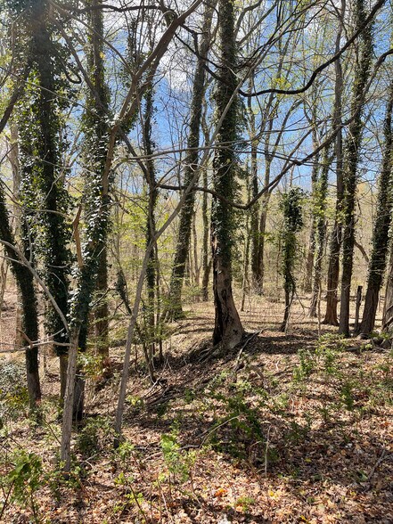 More Photos Of 38.66 Acres - Neck Road, Aquasco Land For Sale
