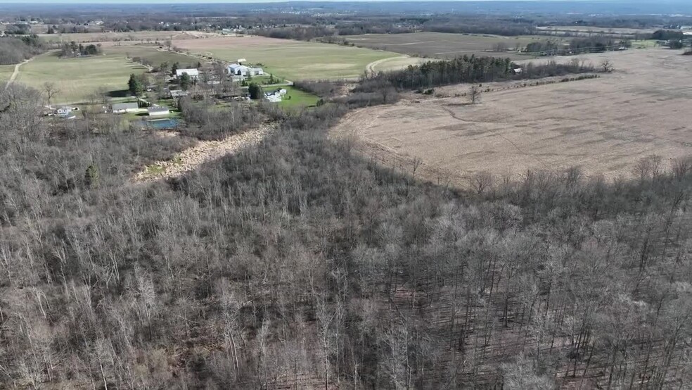 Primary Photo Of Branch Rd, Medina Land For Sale