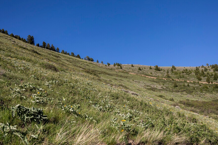 More Photos Of 2 Trail Creek Rd, Bozeman Land For Sale
