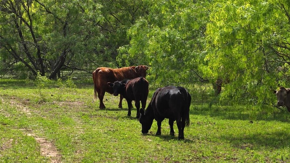 More Photos Of TBD Reids Bend rd, Bastrop Land For Sale