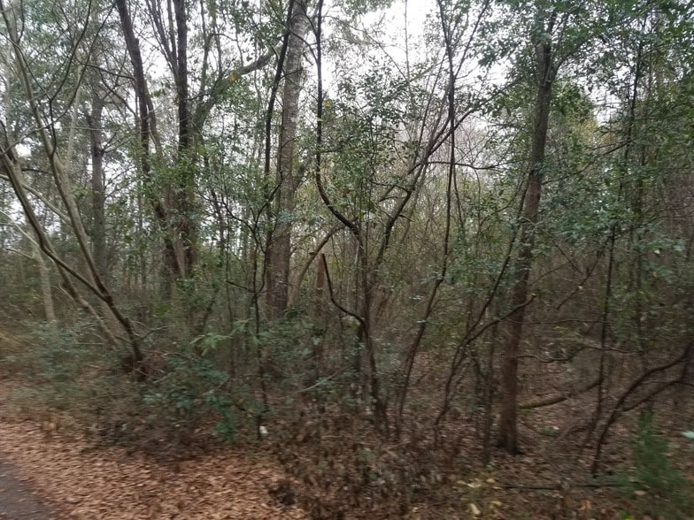 More Photos Of 0000 Hwy 90, Milton Land For Sale