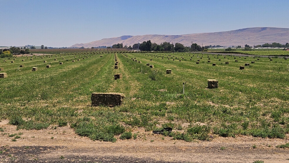 More Photos Of 125498 W Mccreadie Rd, Prosser Land For Sale