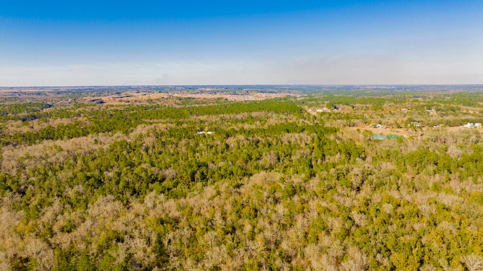 More Photos Of 12960 County Road 48, Silverhill Land For Sale
