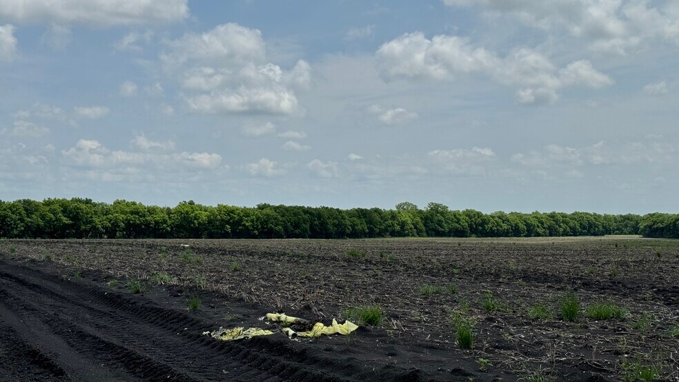 More Photos Of 9024 FM 64, Pecan Gap Land For Sale