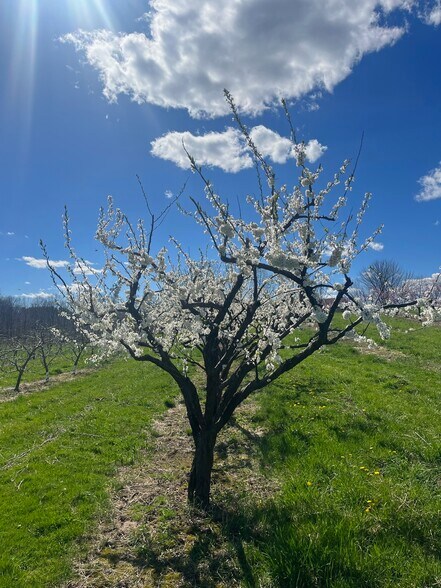 More Photos Of 280-300 Matson Hill Rd, South Glastonbury Land For Sale