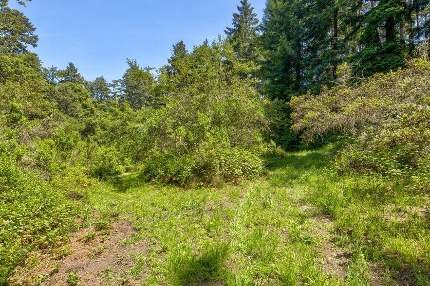 More Photos Of 5090 La Honda Rd, San Gregorio Land For Sale