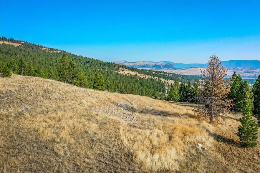 More Photos Of 29011 Walking Horse Ln, Big Arm Land For Sale