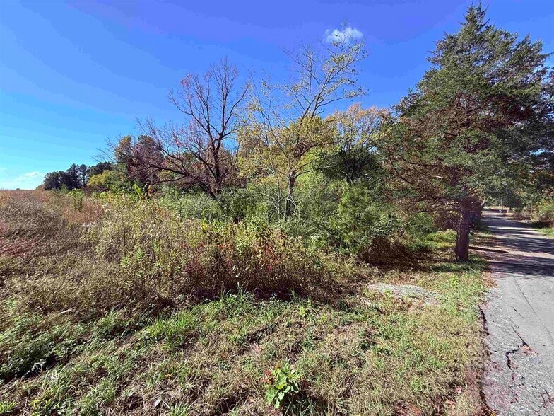 More Photos Of 101 Indian Trl, Bald Knob Land For Sale
