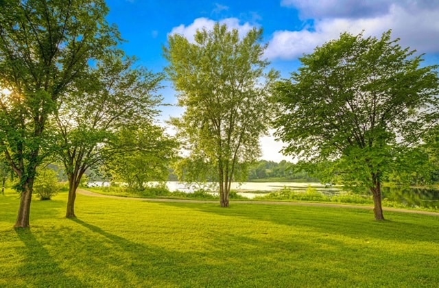 More Photos Of 830 Yellow Brick Rd, Chaska Hotel For Sale