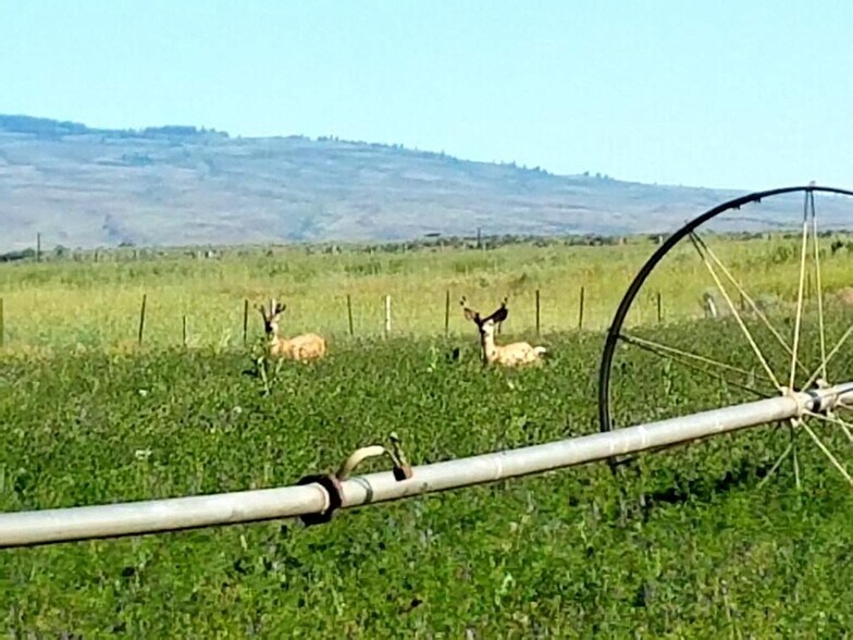 More Photos Of 2098 Dymoke Ln, Midvale Land For Sale