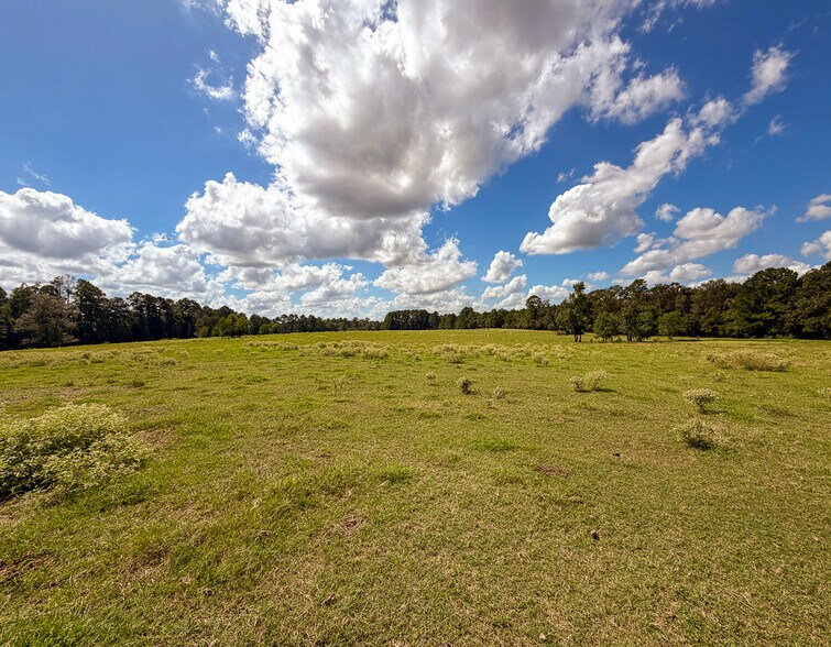 More Photos Of 567 Tamie Lowe rd, Moscow Land For Sale