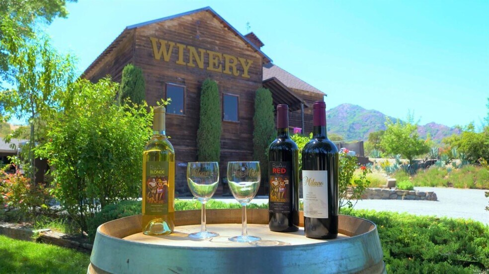 More Photos Of 14600 S Highway 101, Hopland Winery Vineyard For Sale