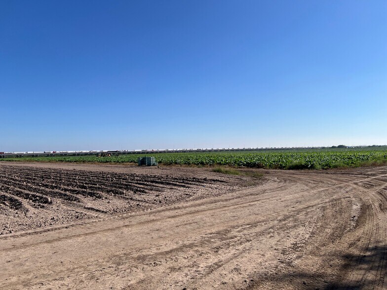 More Photos Of 271.62 Acs on West side of Pharr Intl. Bridge, Pharr Land For Sale