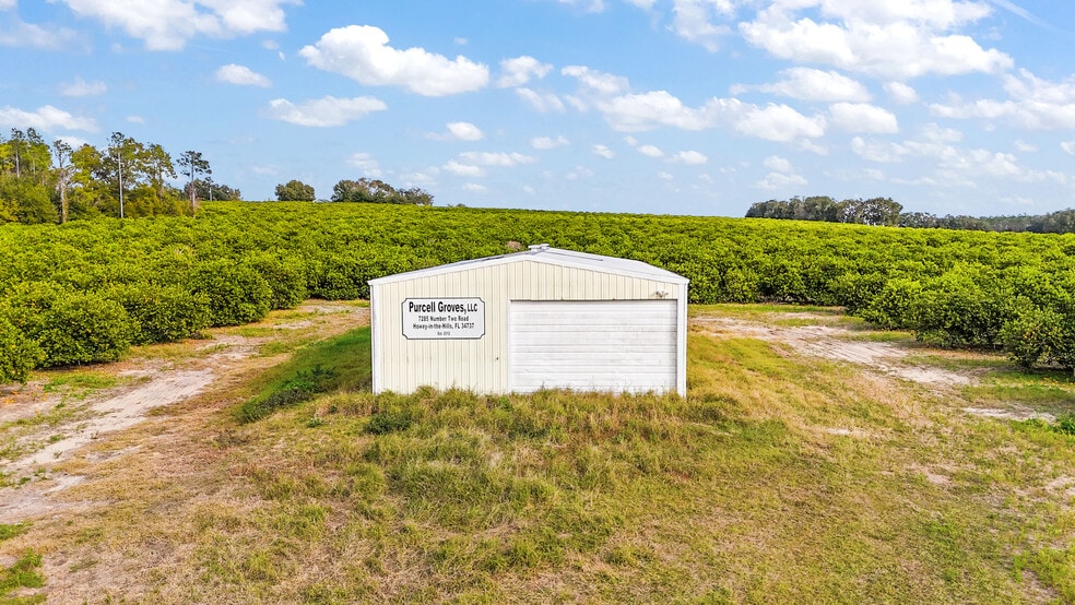 More Photos Of 7285 Number Two rd, Howey-in-the-Hills Land For Sale