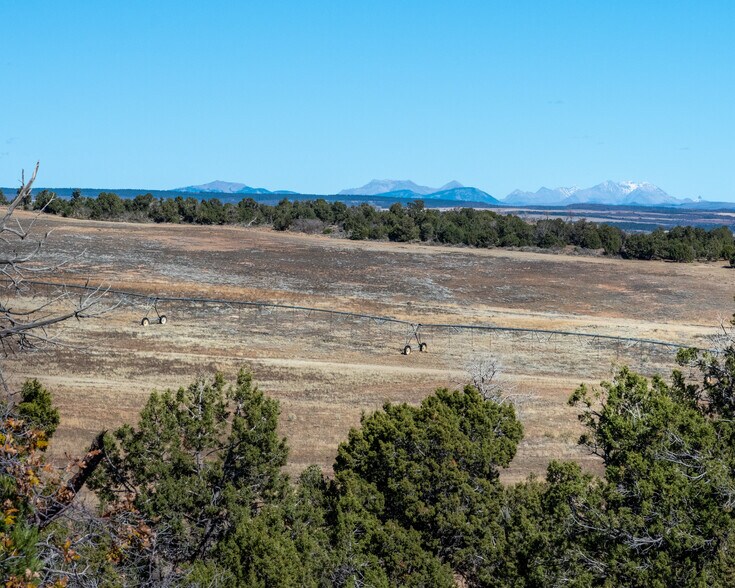 More Photos Of 19444 Road 16.5, Yellow Jacket Land For Sale