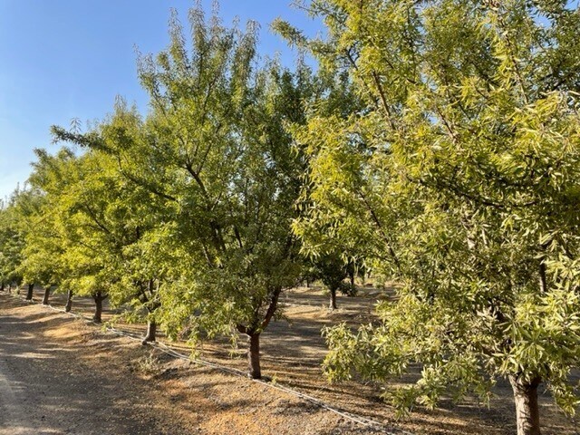 More Photos Of N/E Corner Avenue 228 & Road 56, Tulare Land For Sale