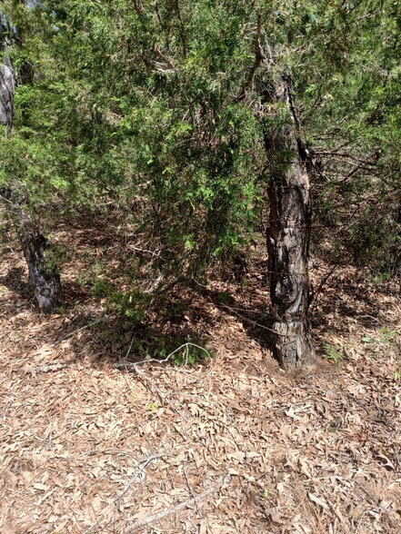 More Photos Of 414000 E 1920 Rd, Antlers Land For Sale