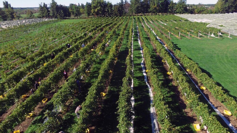 More Photos Of 17371 Line rd, Clayton Winery Vineyard For Sale