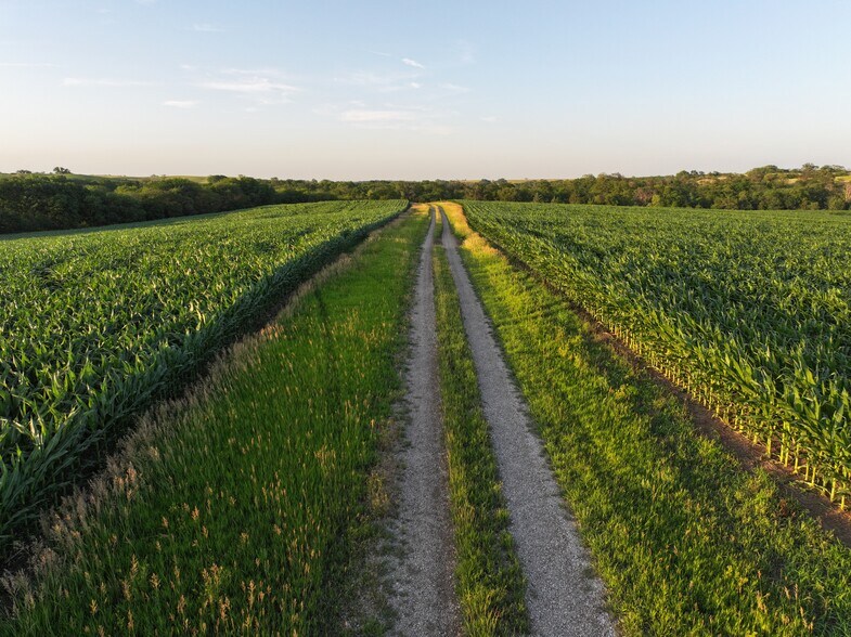 More Photos Of 12841 Wittstruck Road, Crete Land For Sale