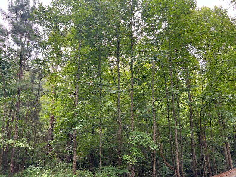 More Photos Of Pinyan, Ranger Land For Sale