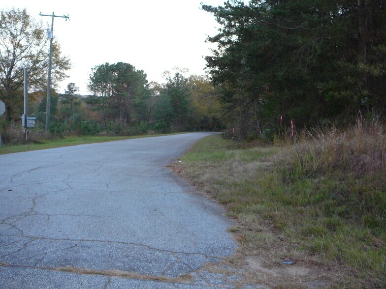 More Photos Of 10.5 Acs Royal American Rd, Anderson Land For Sale