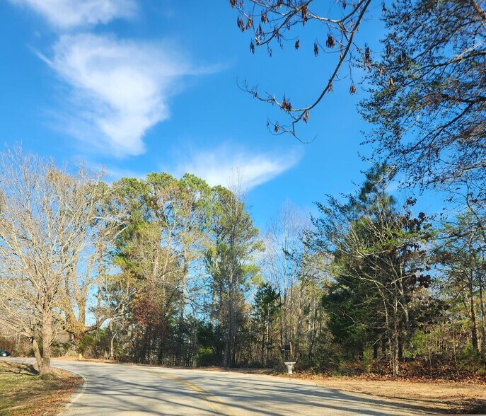 More Photos Of 1310 Mayflower Rd, Sale Creek Land For Sale