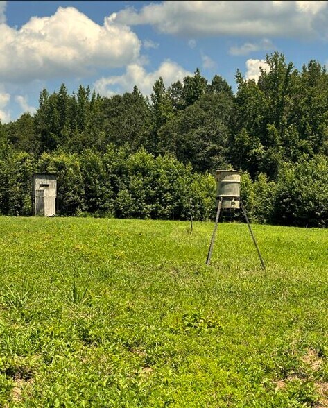 More Photos Of 17796 Dry Branch loop, Northport Land For Sale