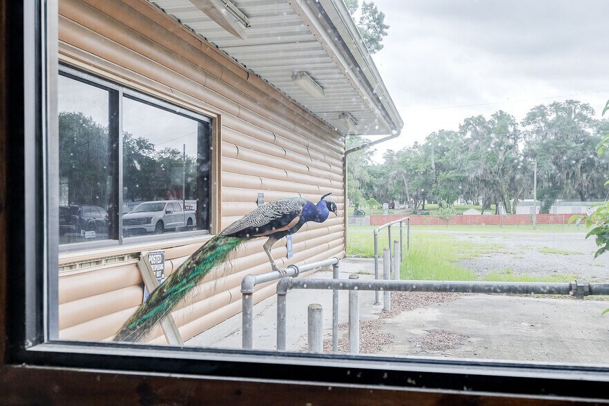 More Photos Of 1224 Buccaneer Club Rd NE, Townsend General Retail For Sale