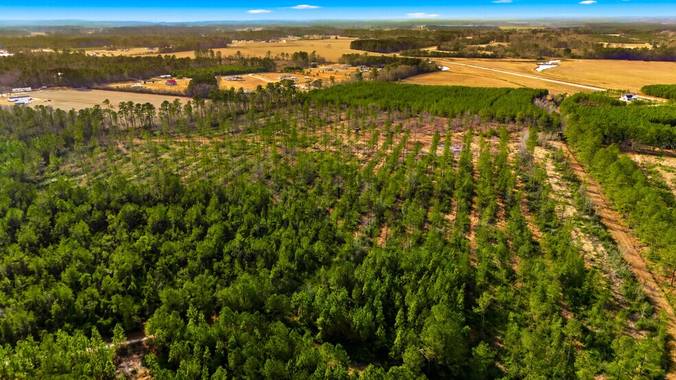 More Photos Of Highway 45, Loris Land For Sale