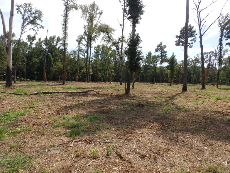 More Photos Of 16393 Highway 31, Tyler Land For Sale