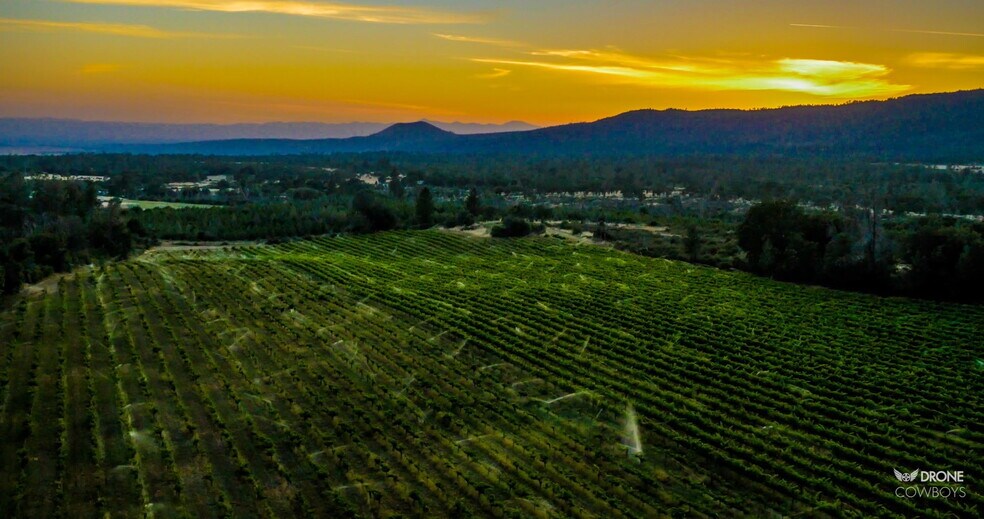 More Photos Of 31630 Forwards Rd, Manton Land For Sale