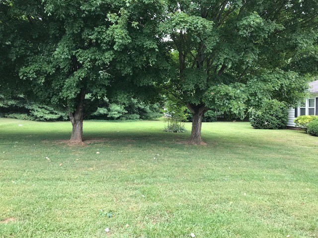 More Photos Of 609 E Church St, China Grove Land For Sale