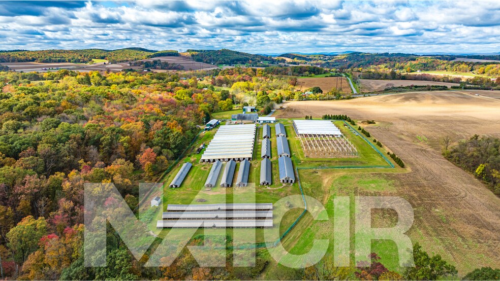 More Photos Of , Sunbury Flex For Sale