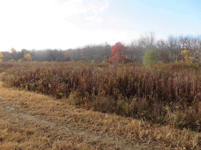 More Photos Of 0 Andrew Mountain Rd, Naugatuck Land For Sale