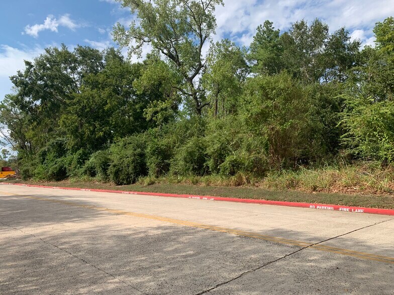 Hirschfield, Spring, TX 77373 Land For Sale