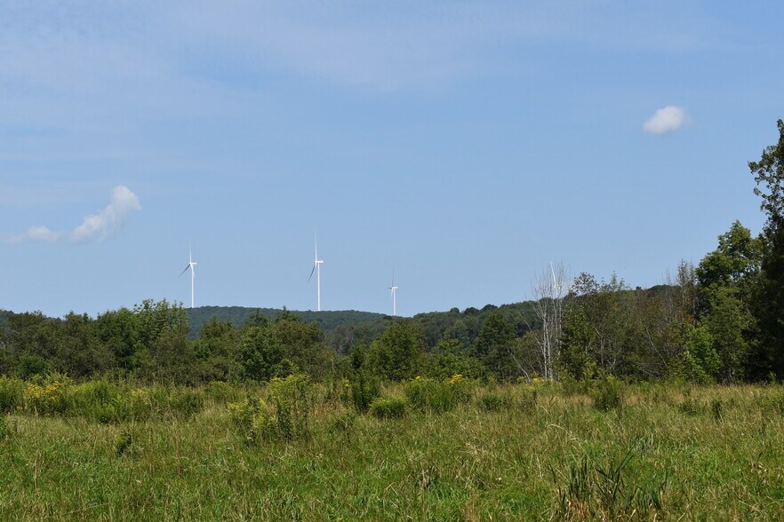 More Photos Of 2276 Old Route 17, Windsor Township Specialty For Sale