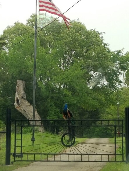 Primary Photo Of 10774 County Road 494, Tyler Apartments For Sale