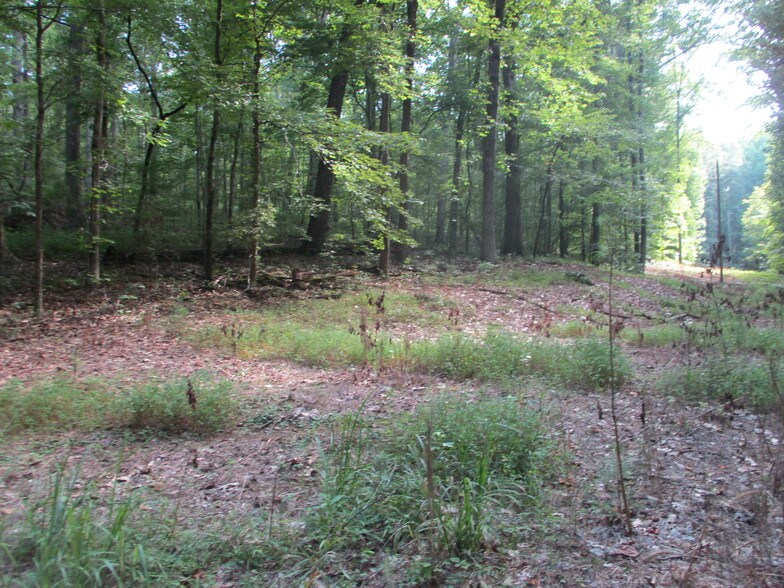 More Photos Of 3699 Evans Mill Rd, Lithonia Land For Sale