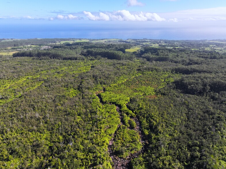 Primary Photo Of 29-773 Chin Chuck Rd, Hakalau Land For Sale