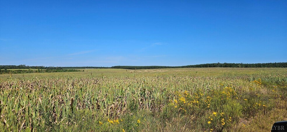More Photos Of Glenmore Road, Scottsville Land For Sale