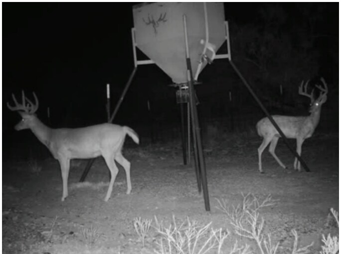 More Photos Of 1510 US Highway 83, Childress Land For Sale