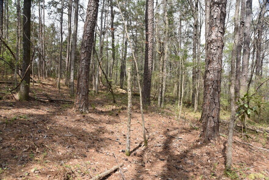 More Photos Of Warm Springs Rd @ GA-208, Waverly Hall Land For Sale